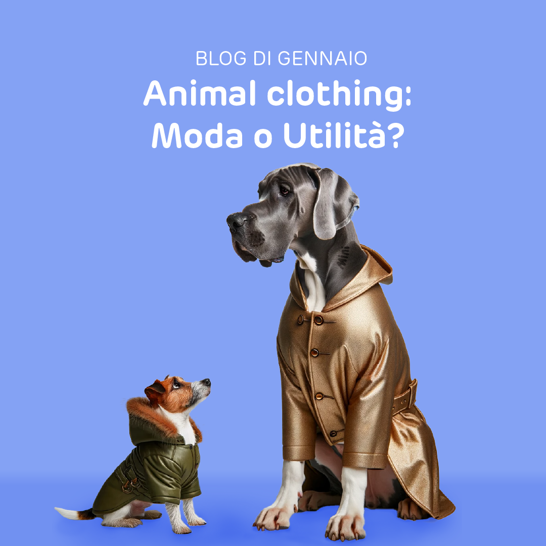 Animal clothing: moda o utilità? - Mini PET